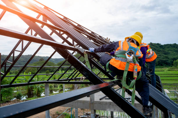 Best Flat Roof Repair Services  in Timberlane, IL