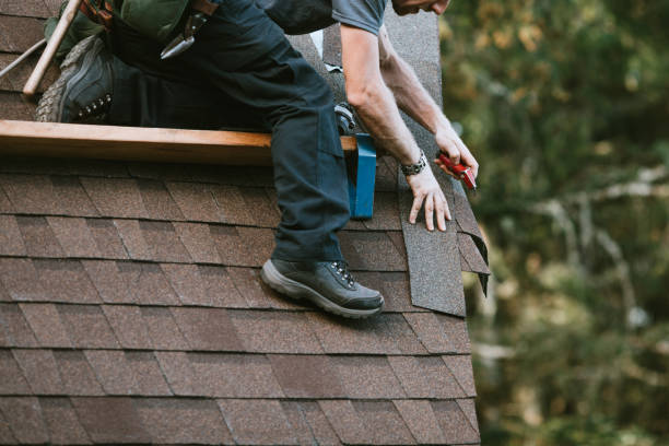 Gutter Installation and Roofing in Timberlane, IL